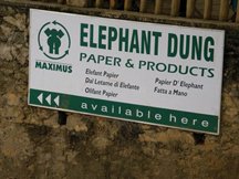 elephant-dung paper